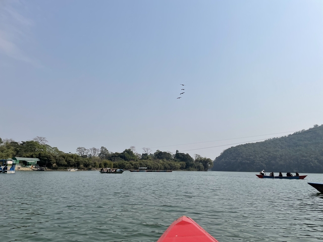      Lake view with boats and birds flying overhead.
  