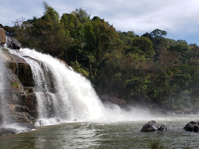       Majestic waterfall surrounded by trees.
  
