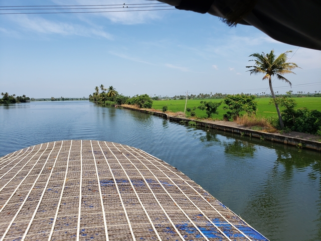 Scenic view of waterway and palm-lined banks.