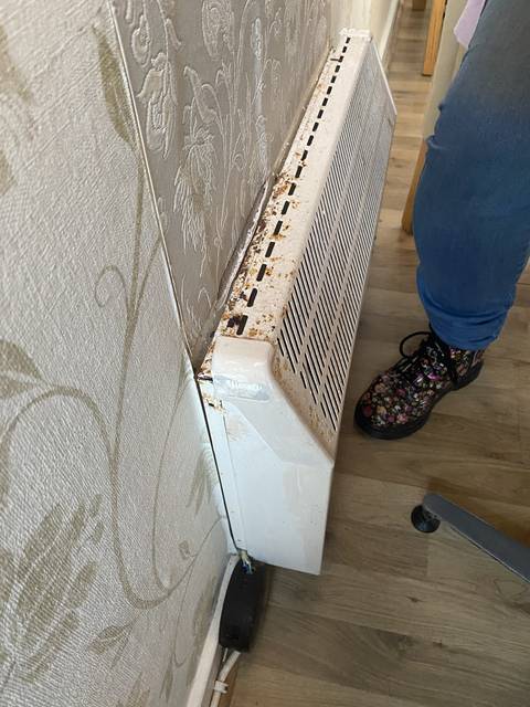 Heater next to a floral patterned bedspread and wall.