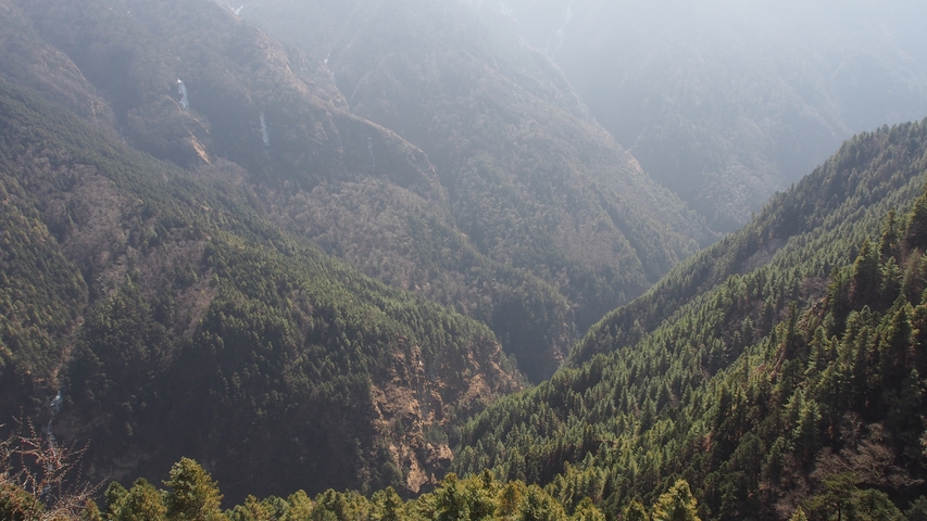       A densely forested valley with gentle slopes.
  