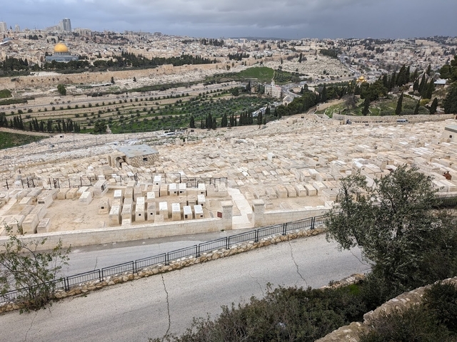       A cemetery on a hillside with a city view in the distance.
  