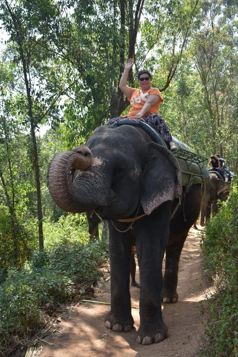       foto de reseña de cliente de Triángulo de oro y Amritsar - 8 días 
  