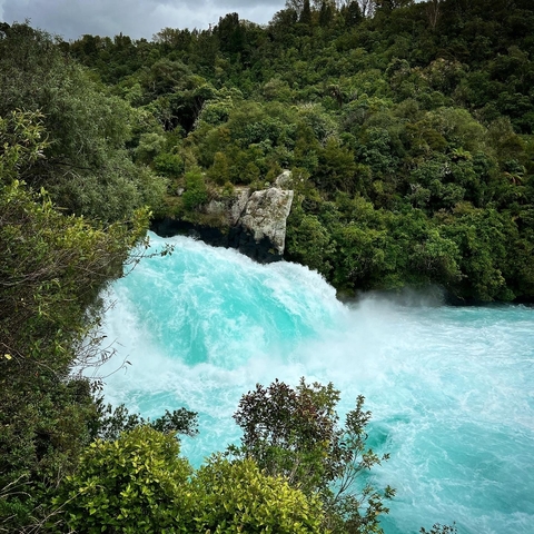 A powerful waterfall flowing in a lush green forest.