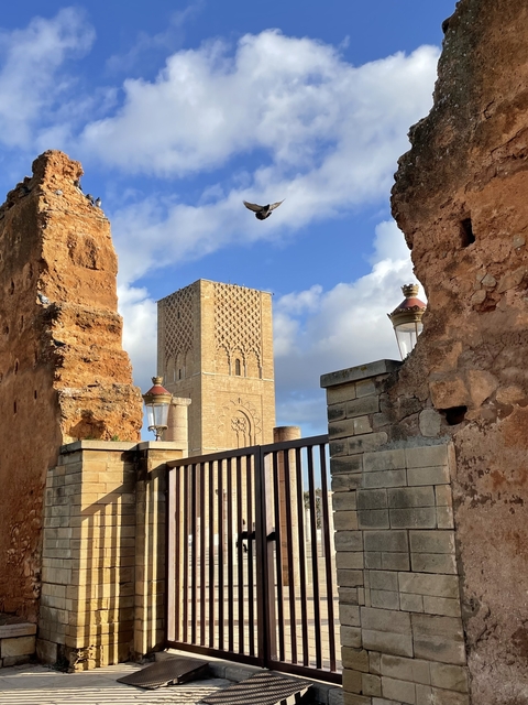 View of historical fortress ruins with a tower.