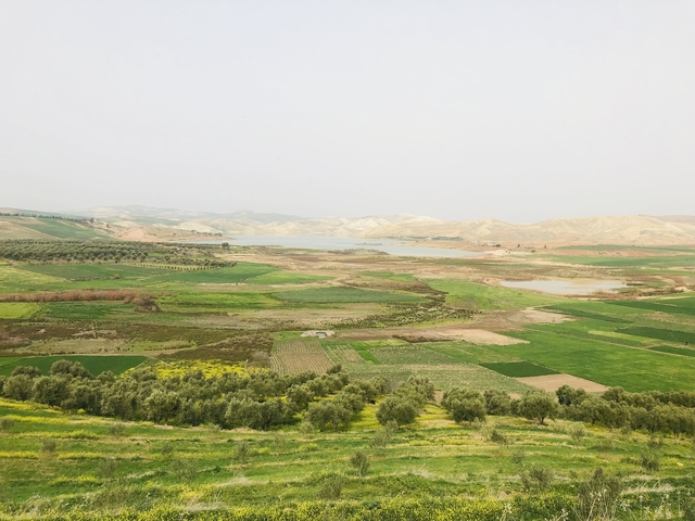 Scenic landscape with hills and greenery.