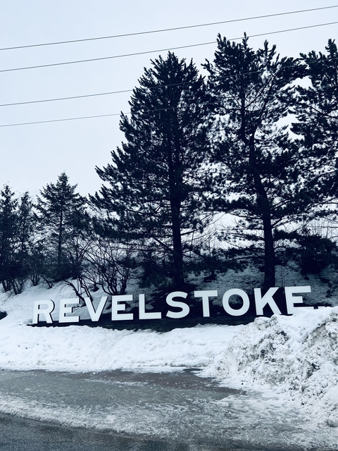       Large sign with snowy trees in the background.
  