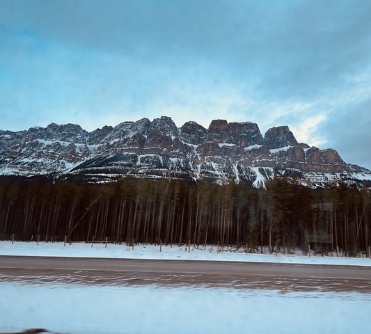       Majestic mountain range with a forest foreground.
  