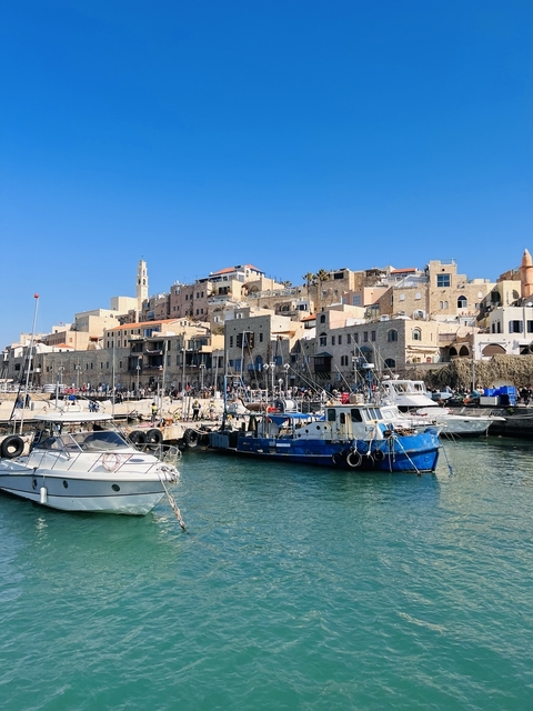 Harbor with boats and old city buildings in the background.