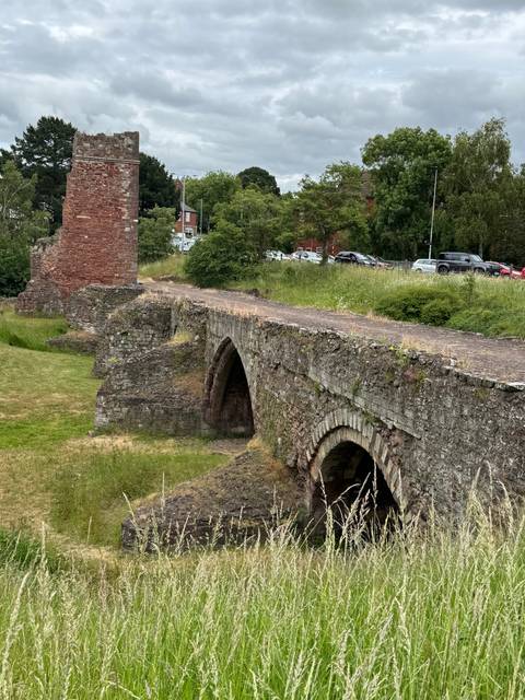 Historic stone bridge surrounded by grassy landscape.