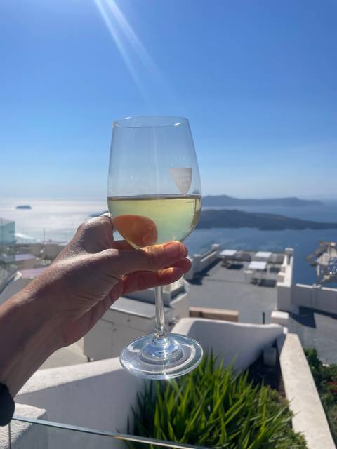 Wine glass held against a scenic backdrop of the sea.