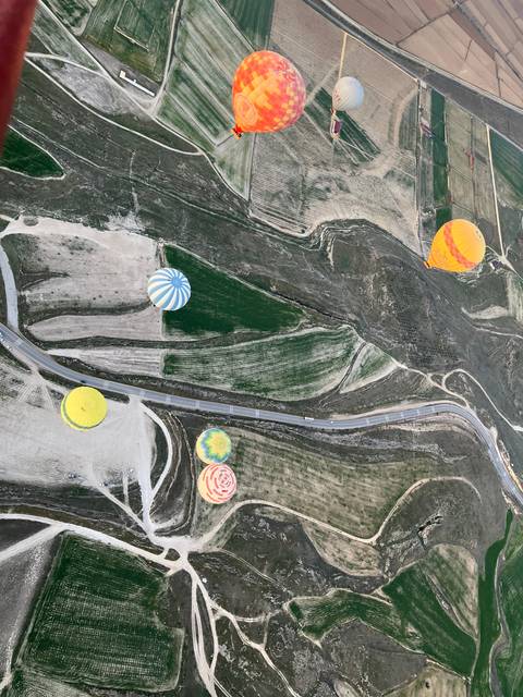       Hot air balloons floating over a diverse landscape with fields and roads.
  