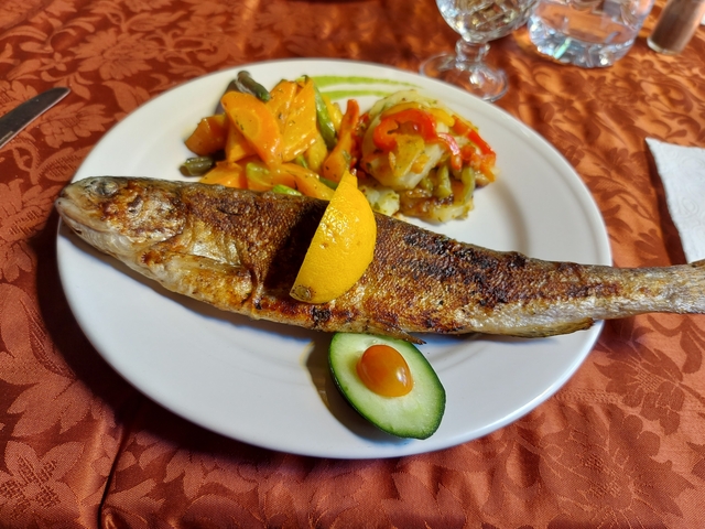 A plate of grilled fish and vegetables.