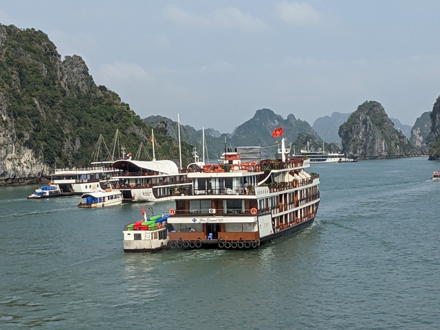      Tour boats in a bay surrounded by limestone karsts.
  