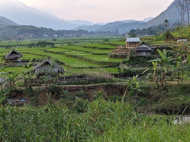       Scenic view of a rural area with rice paddies.
  
