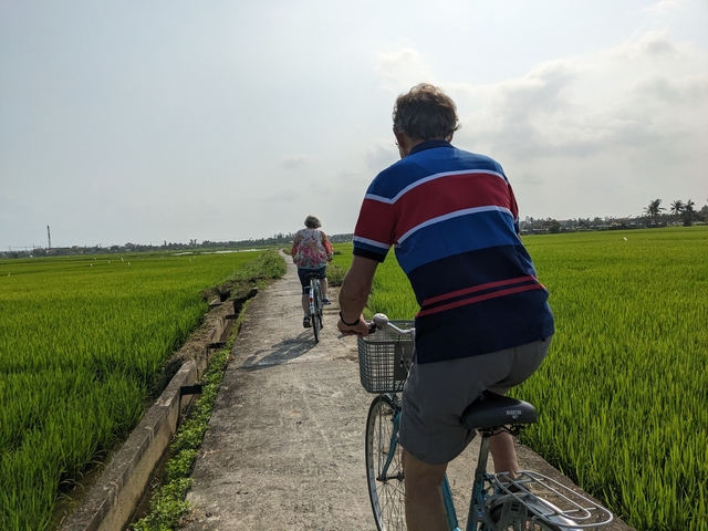       Cyclists riding through green rice paddies.
  