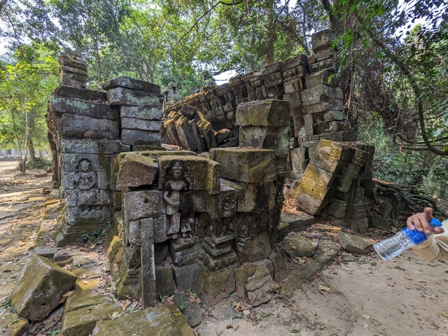       Stone carvings and ruins in a forest setting.
  