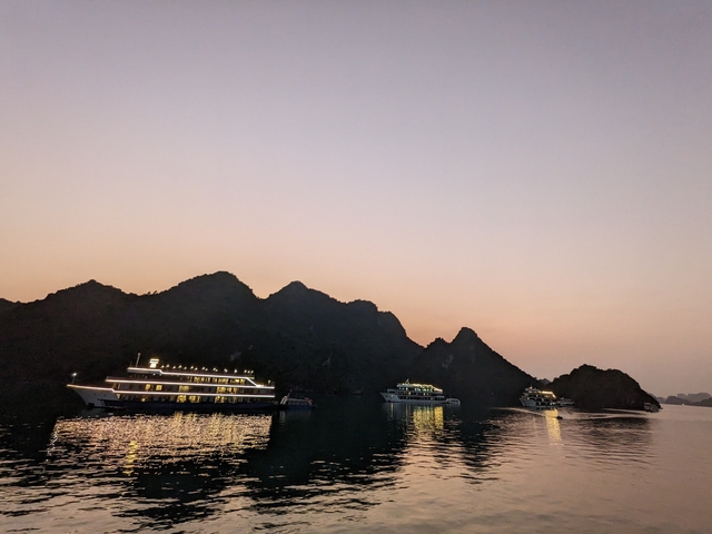       Cruise ships in a bay during sunset.
  