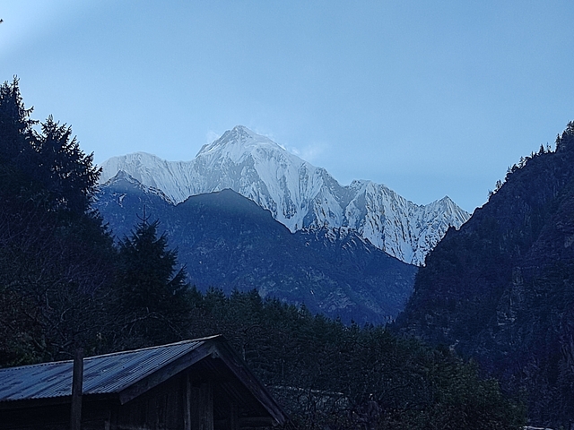       Mountain peak with snow and surrounding forests.
  