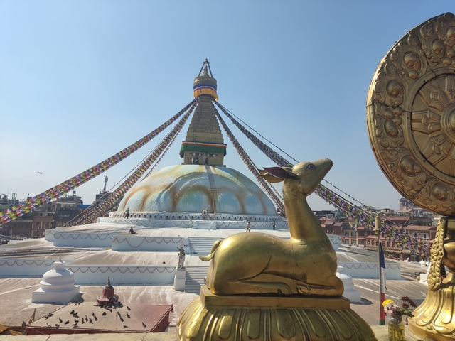       A large stupa with colorful prayer flags and a golden deer statue in the foreground.
  