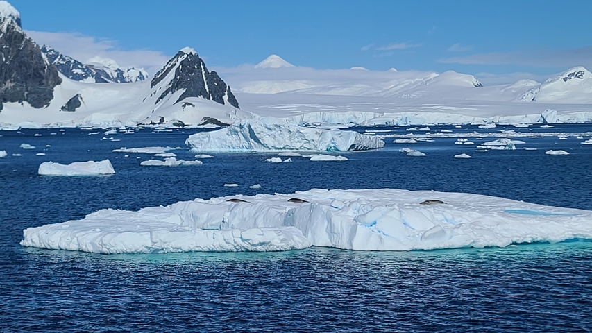 Icebergs floating in a frosty ocean with snowy mountains as backdrop.