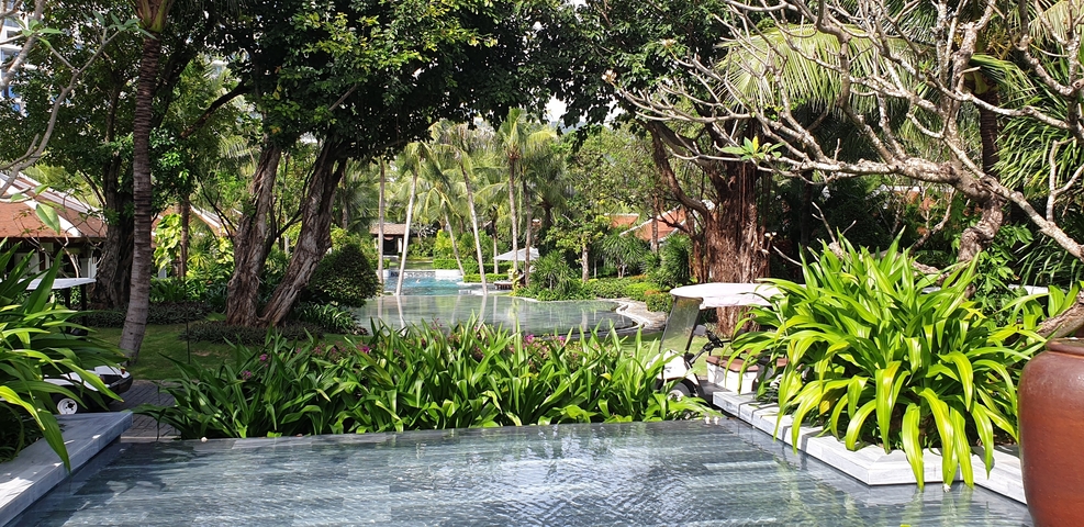 Lush garden with a pool and tropical vegetation.