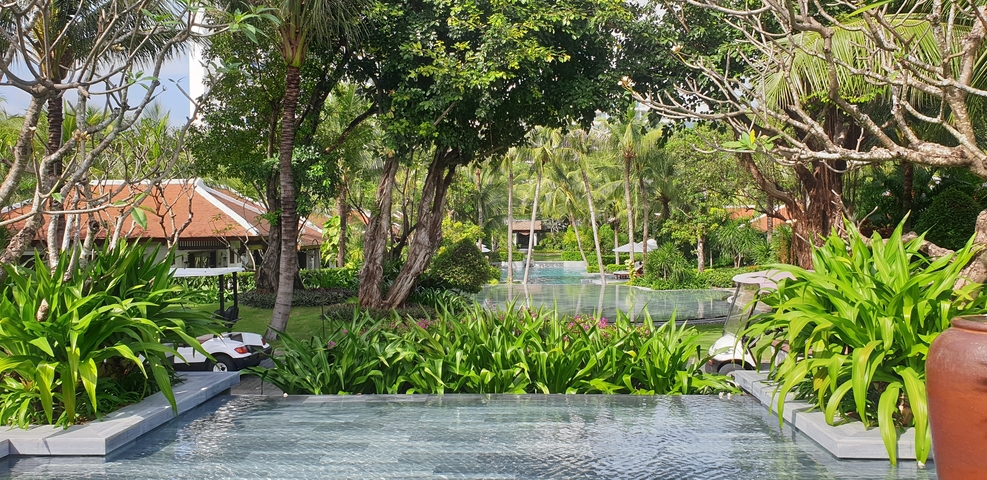 Lush garden with a pool and trees.