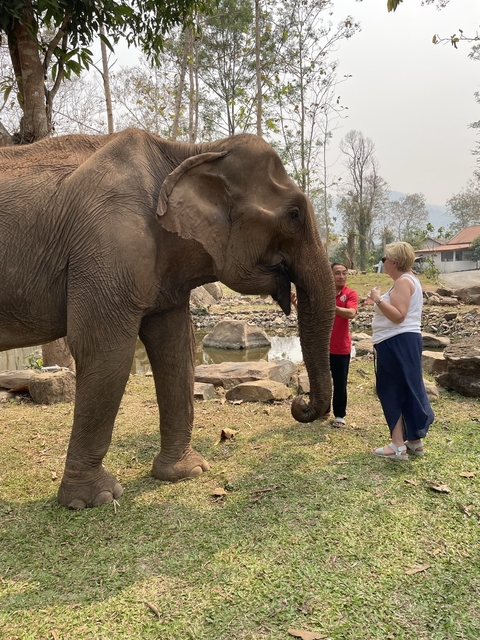       Two people interacting with an elephant in a natural setting.
  