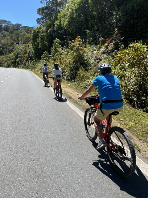 Group of cyclists on a road, wearing helmets.