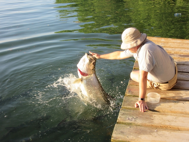 Person interacting with a fish