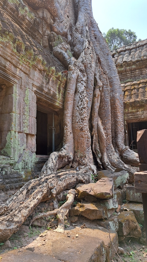 Itinerary Image 2