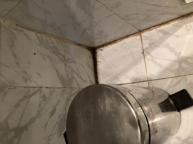       Close-up of a bathroom wall with tiles and a metal fixture.
  