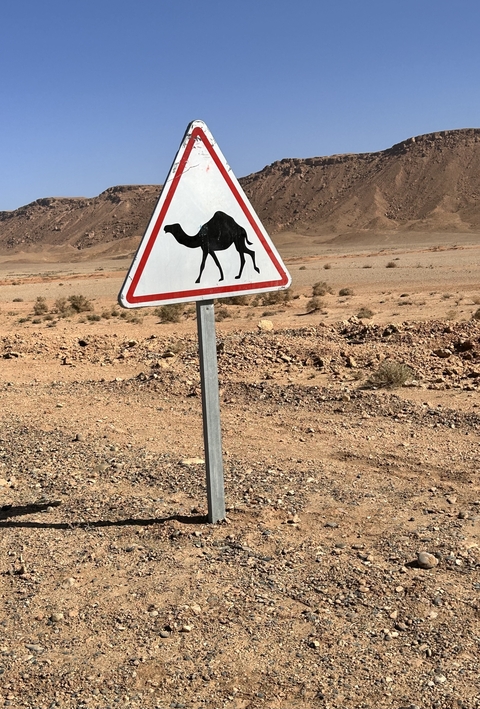 Camel crossing road sign in a desert setting.