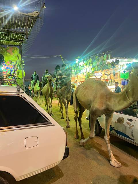       People riding camels under colorful evening lights.
  