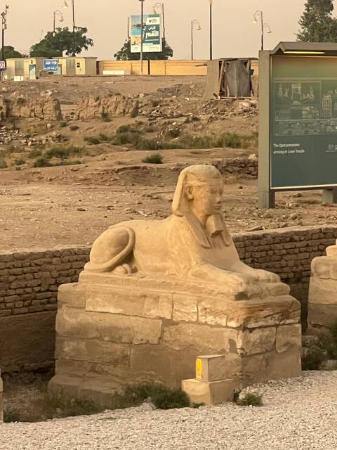 Sphinx statue at an archaeological site in a sandy desert.