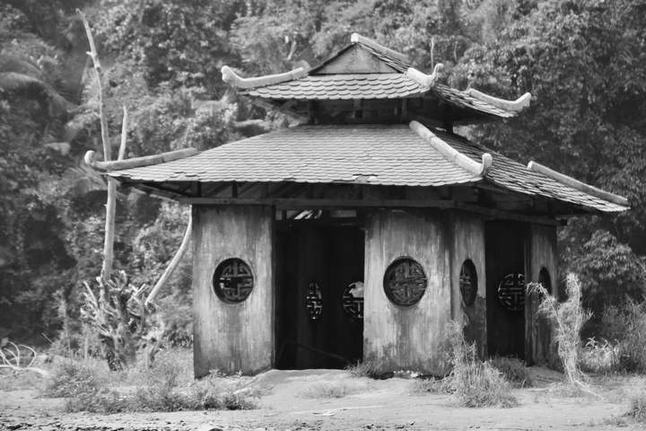       Traditional Vietnamese pagoda in black and white.
  