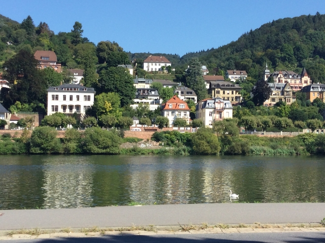 Riverside view with historical buildings and greenery.
