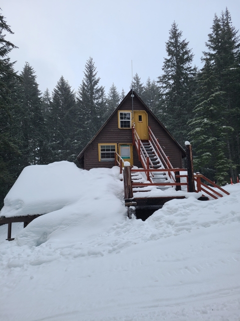 Wooden cabin in a snowy forest setting.