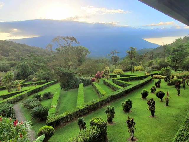       Beautiful garden with manicured bushes and mountain in the background.
  