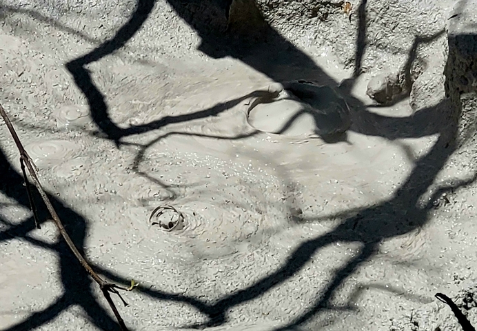       Bubbling mud pool with shadows.
  