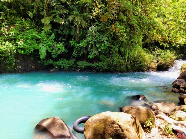 Bright blue river flowing through the forest.