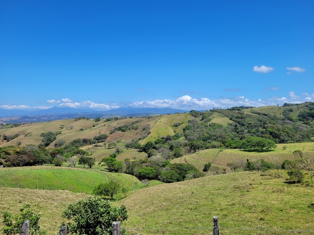 Grassy hills with trees and cloudy sky.