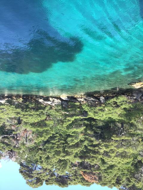 Turquoise water with dense green foliage on shore.