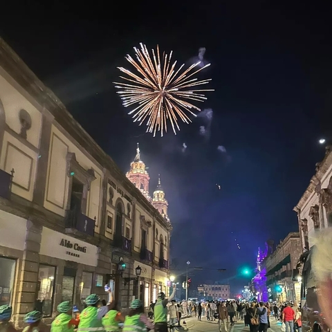       Fireworks over a historic city building.
  