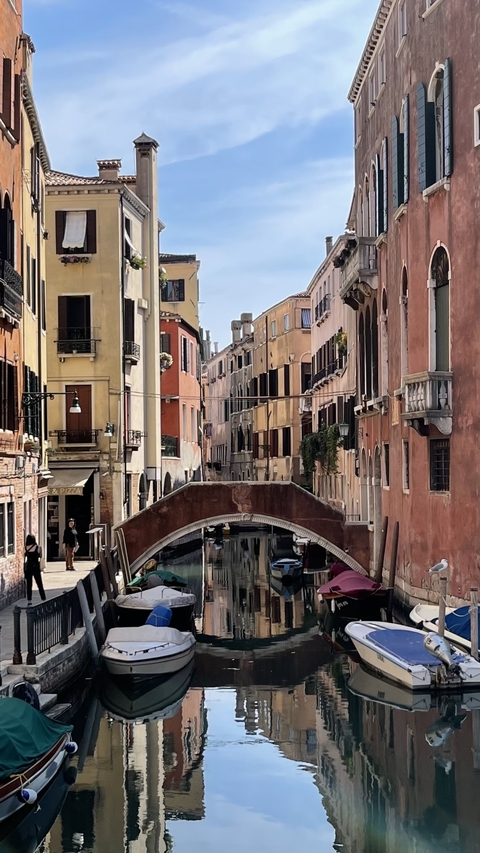       Colorful Venetian canal with bridge and gondolas.
  
