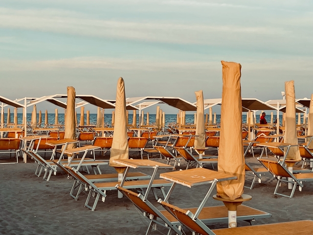       Empty beach with rows of deck chairs and umbrellas.
  