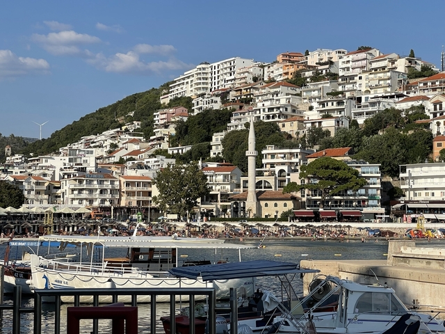       Coastal town with mosque and boats in the harbor.
  