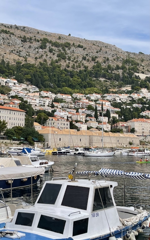       Coastal city with boats and red-tiled houses.
  