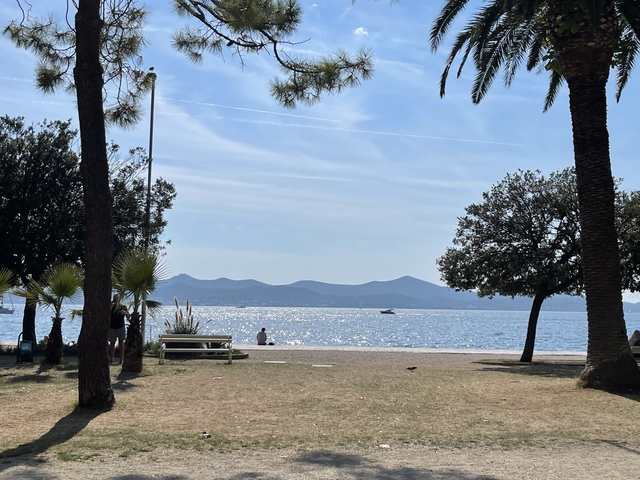       Palm trees framing a beach with water and distant mountains.
  