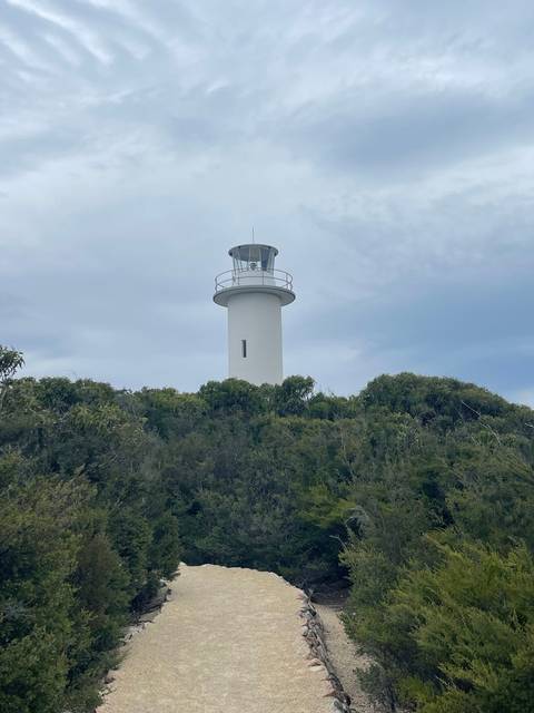       Tall white lighthouse surrounded by trees.
  